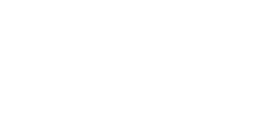 RDE CONSULTING